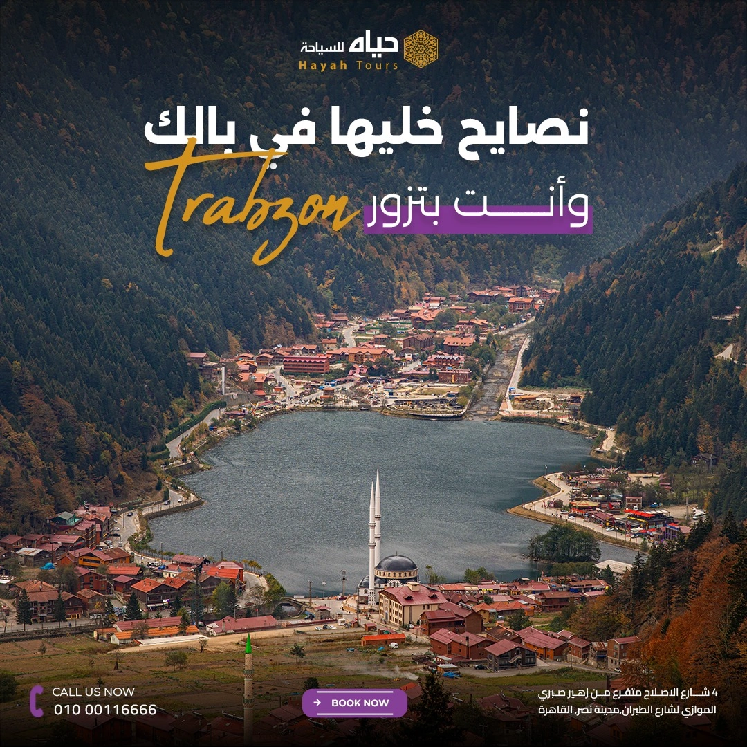 Hayah-Company-Design