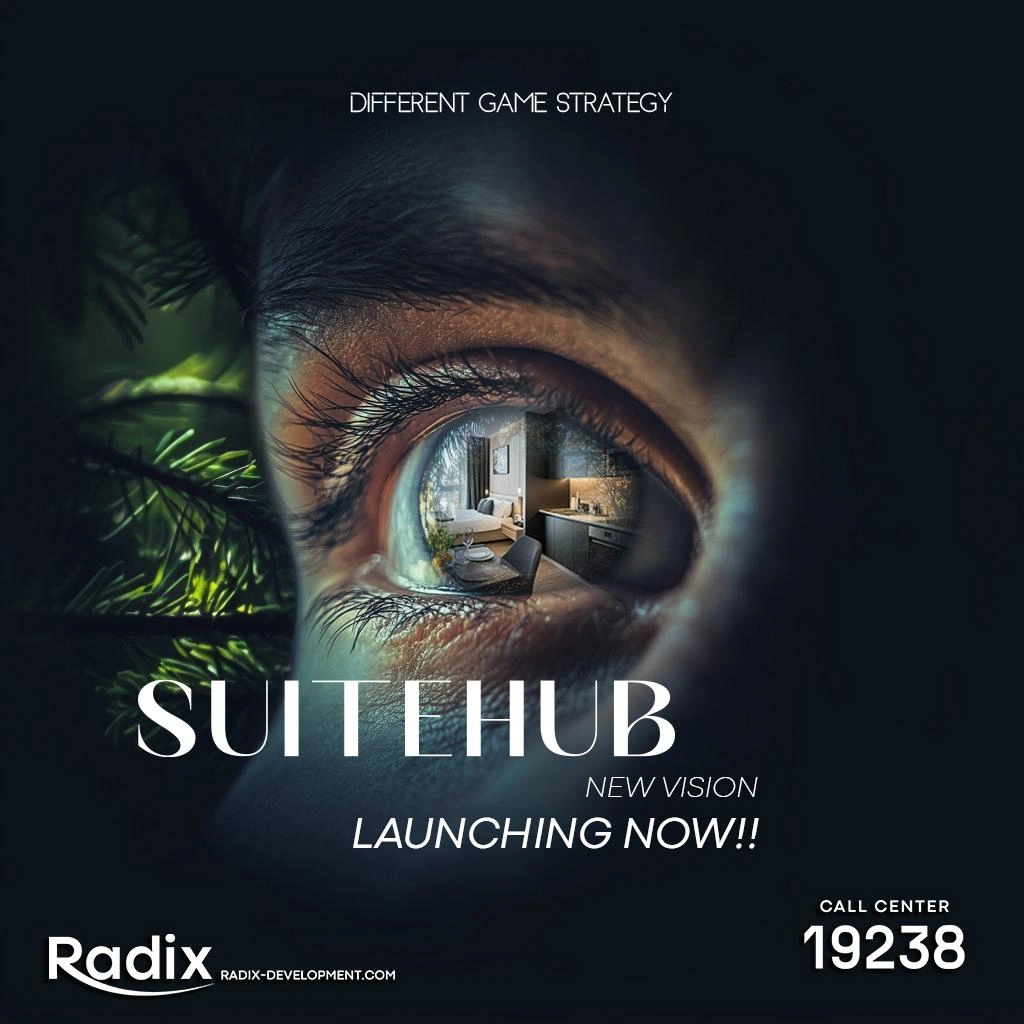 Radix-Design-suithub-project